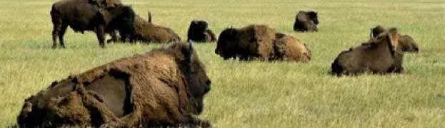 Провал (СИ) - _2302.jpg