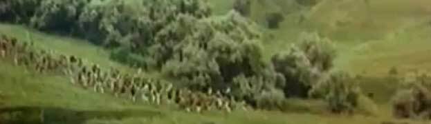 Провал (СИ) - _2505.jpg