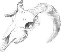 Цукумогами. Невидимые беды - i_001.jpg