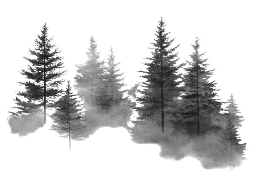 Коронованная Смертью | Академия «Калевала» - _6.jpg