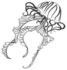 Смерть заберет нас в один день - i_001.jpg