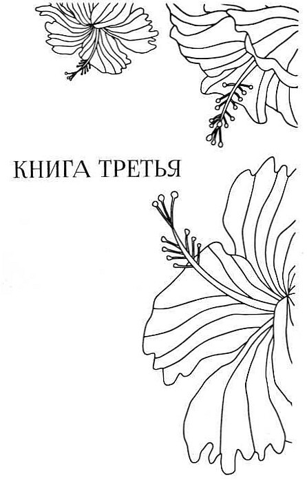 Любовь моя, Анайя - i_004.jpg