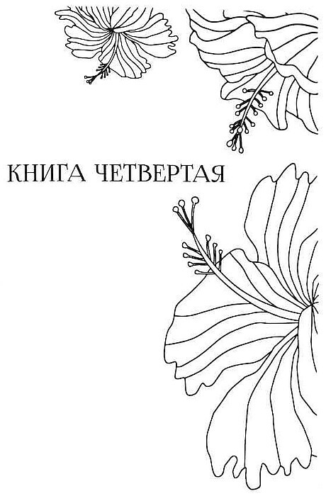 Любовь моя, Анайя - i_005.jpg