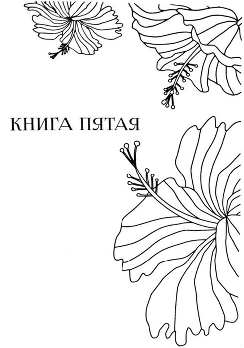 Любовь моя, Анайя - i_006.jpg