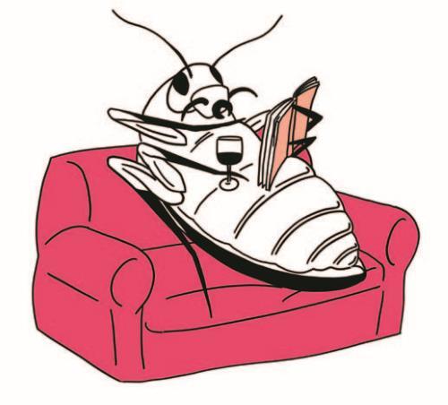 Очень страшное вино. Все, что вы хотели знать о вине, но боялись - i_012.jpg