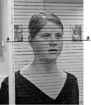 Говори свободно. Создавая совершенный голос - _17.jpg