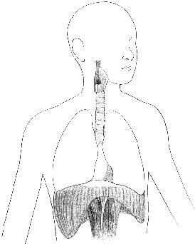 Говори свободно. Создавая совершенный голос - _29.jpg
