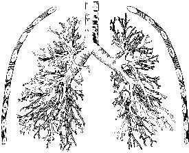 Говори свободно. Создавая совершенный голос - _30.jpg