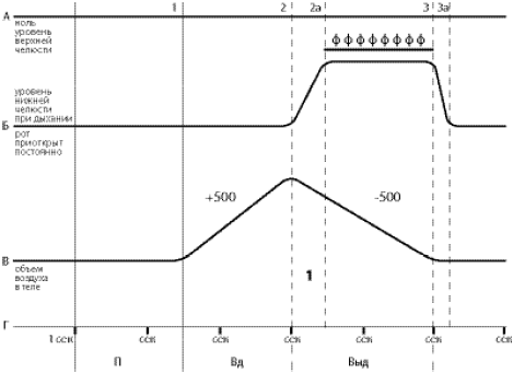Говори свободно. Создавая совершенный голос - _32.png