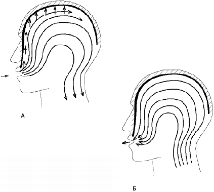 Говори свободно. Создавая совершенный голос - _50.png