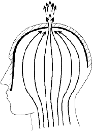 Говори свободно. Создавая совершенный голос - _51.png