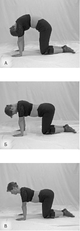 Говори свободно. Создавая совершенный голос - _69.jpg