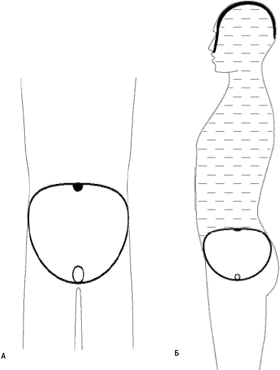 Говори свободно. Создавая совершенный голос - _70.png