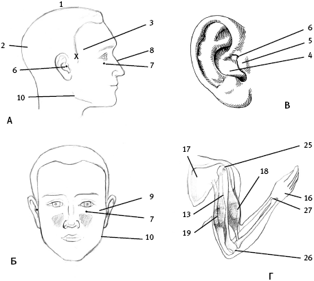 Говори свободно. Создавая совершенный голос - _8.png