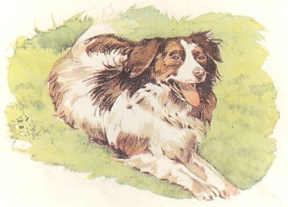 Забавный ученик - i_009.jpg