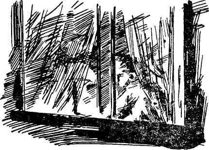 Юность моя заводская - img_3.jpeg