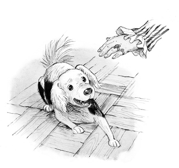 Муму. Бежин луг - i_013.jpg