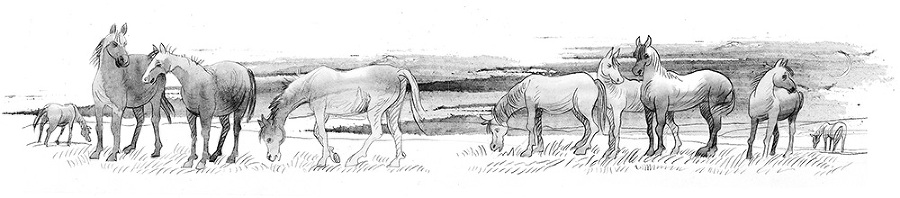 Муму. Бежин луг - i_034.jpg