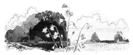 Колокольчик - i_002.jpg