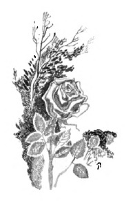 Колокольчик - i_016.jpg