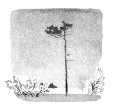 Колокольчик - i_018.jpg