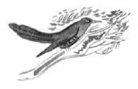 Колокольчик - i_026.jpg