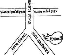Том 1. Стихотворения, переводы - i_020.png
