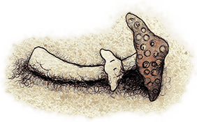 Меня называют Капуцином. Избранная проза (худ. Н. Воронцов) - i_090.png