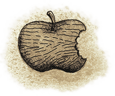 Меня называют Капуцином. Избранная проза (худ. Н. Воронцов) - i_091.png