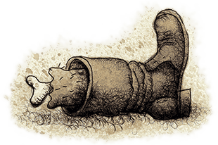 Меня называют Капуцином. Избранная проза (худ. Н. Воронцов) - i_152.png