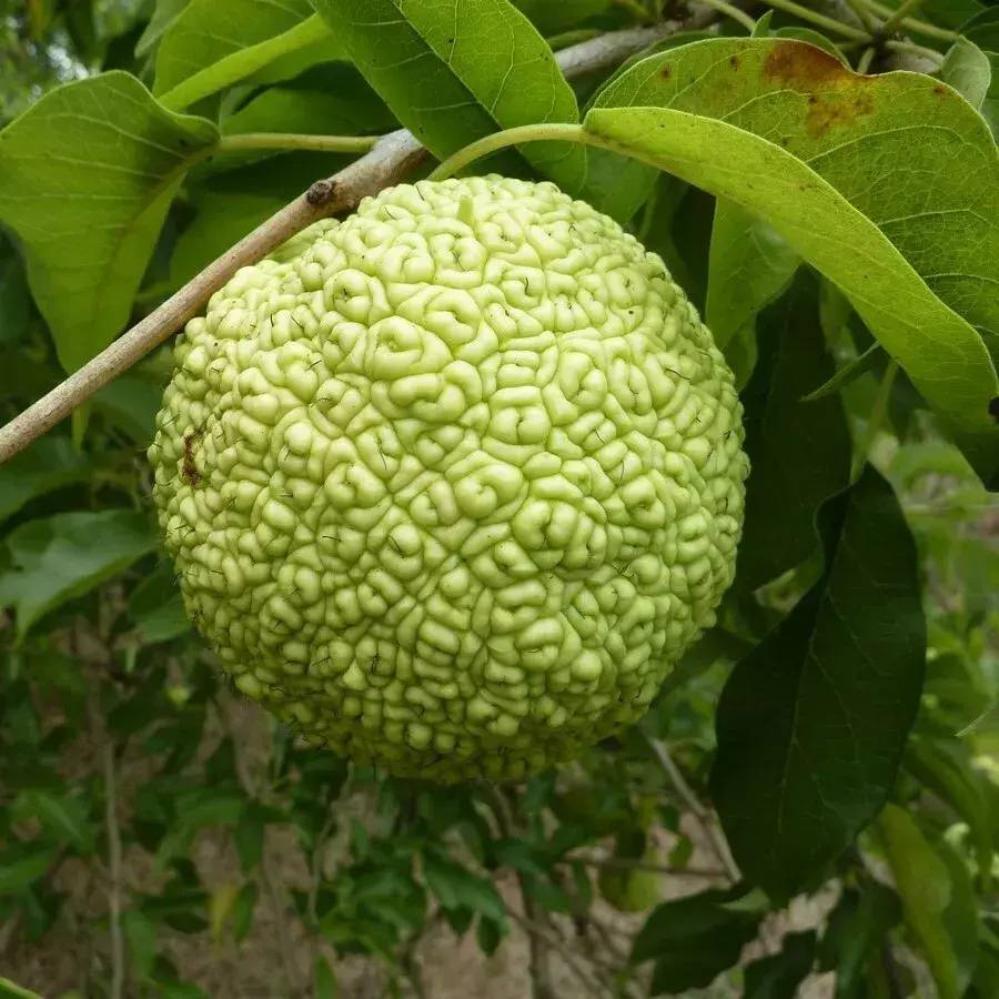 "Фантастика 2025-167". Компиляция. Книги 1-24 (СИ) - i_018.jpg