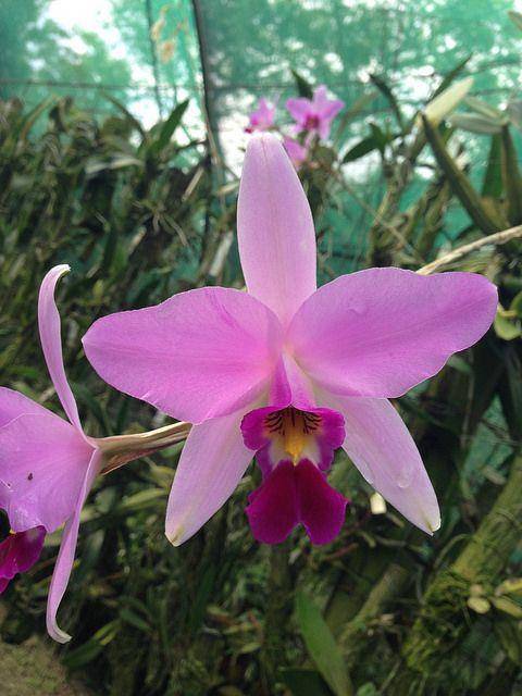 "Фантастика 2025-167". Компиляция. Книги 1-24 (СИ) - i_023.jpg