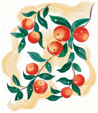 Мещерские сказы для детей. От Буры-яги до русалки-чамки - i_022.jpg