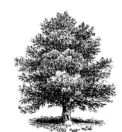 Смех сквозь слезы - i_003.jpg