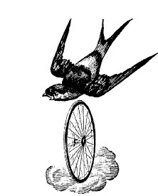 Смех сквозь слезы - i_008.jpg