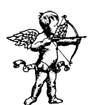 Смех сквозь слезы - i_014.jpg