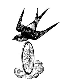 Смех сквозь слезы - i_016.jpg