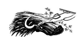 Смех сквозь слезы - i_021.jpg