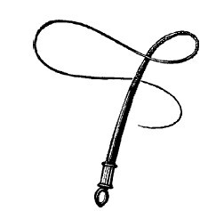 Смех сквозь слезы - i_022.jpg