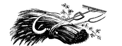 Смех сквозь слезы - i_028.jpg