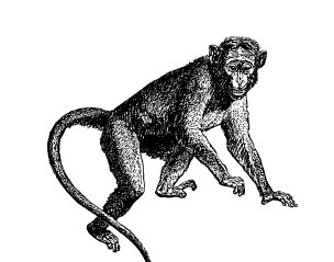 Смех сквозь слезы - i_046.jpg