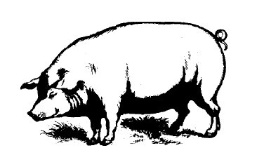 Смех сквозь слезы - i_052.jpg