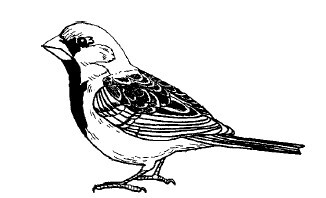 Смех сквозь слезы - i_054.jpg