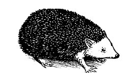 Смех сквозь слезы - i_055.jpg