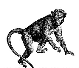 Смех сквозь слезы - i_057.jpg