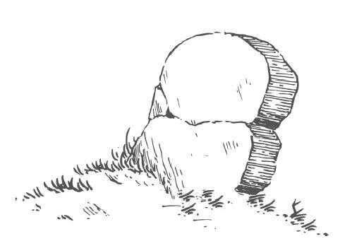 Майская ночь, или Утопленница. Сборник мистических рассказов - i_002.jpg