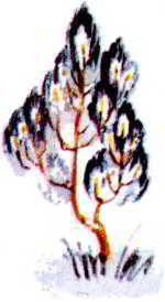 Пловец (Художник В. Стрижков) - _004.jpg