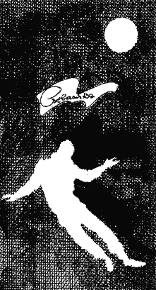 И грянул гром… (Том 4-й дополнительный) - i_006.png