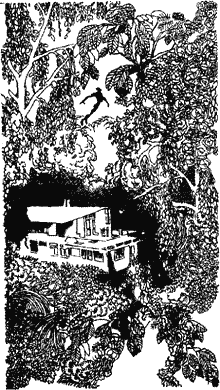 И грянул гром… (Том 4-й дополнительный) - i_007.png