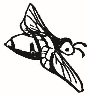 Большая книга чепухи - i_123.jpg